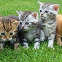 副業で収入を増やすコツを紹介中。副業を始めてみたい人にお得な情報を提供。ほんの僅かですがお金配り企画もしております♫ なくなり次第終了➡ https://t.co/zNC9lDBctm
