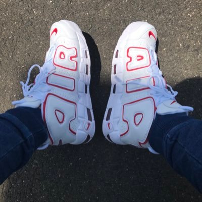 Shu5000's profile picture.