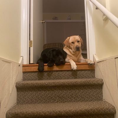 GkidsGjohn's profile picture. 