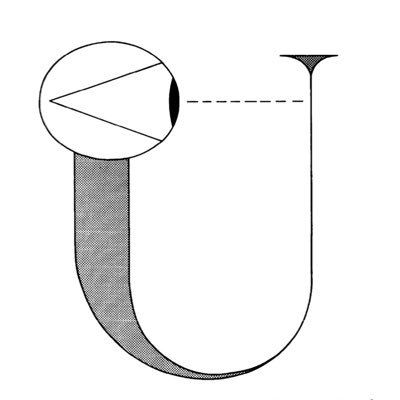 fraudssigmund's profile picture. Actualizing; Gojim