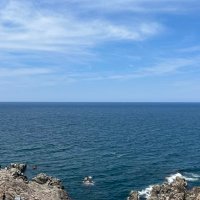 ままや (@bsdjkkd) 's Twitter Profile