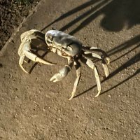 Mark (@markobfc) 's Twitter Profile Photo