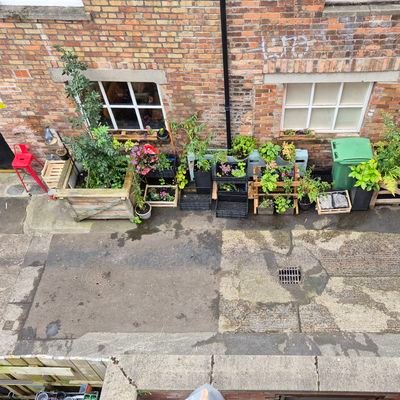 Ideas for Belfast/NI. Infrastructure plans, public realm ideas, innovative ideas for a better future. Retweet interesting articles on environment & development.