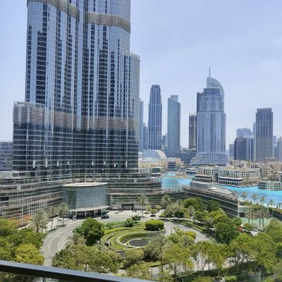 alialsamahi2020's profile picture. 