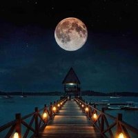 Aditya Raj Sinha (@adityarajs81247) 's Twitter Profile Photo Aditya Raj Sinha (@adityarajs81247) 's Twitter Profile Photo