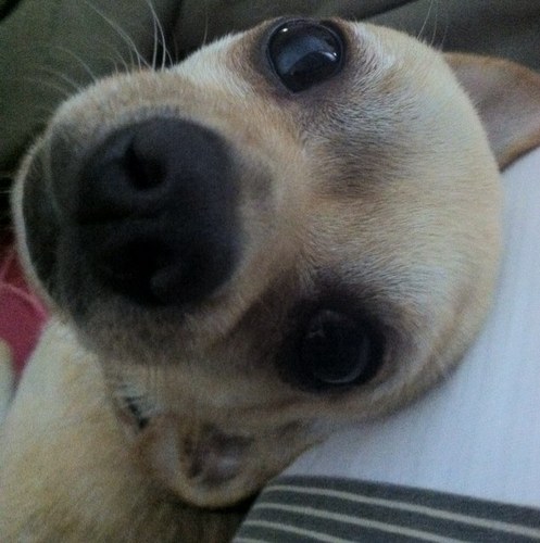 BabcockRandy's profile picture. 