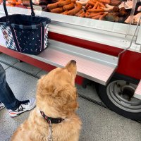 audifahrer (@audifahrer1) Twitter profile photo