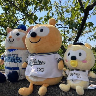 ハチさんのプロフィール画像