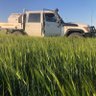 lymnfarms's profile picture. Wheat, Sheep and Wool producer on the West Coast Eyre Peninsula. Married to Leanne and father of Joey, Elsey and Amber.