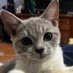 terjal (@sumetno) Twitter profile photo terjal (@sumetno) Twitter profile photo