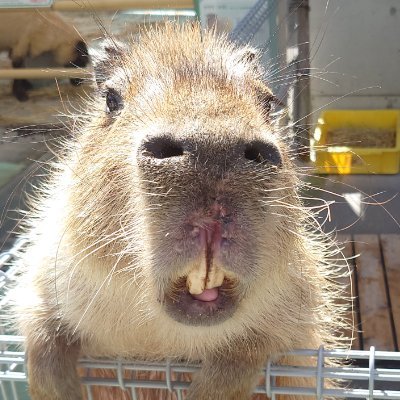 kann83249347's profile picture. またの名をつる。成人済みで極まれに腐。洋画沼に片足を永遠に突っ込んでる。エオルゼアライフをゆるゆる四年。いつも誠にありがとうございます。