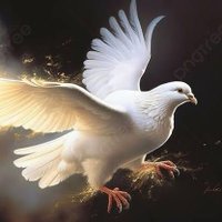 فرز🕊️ (@khlyls69567) Twitter profile photo