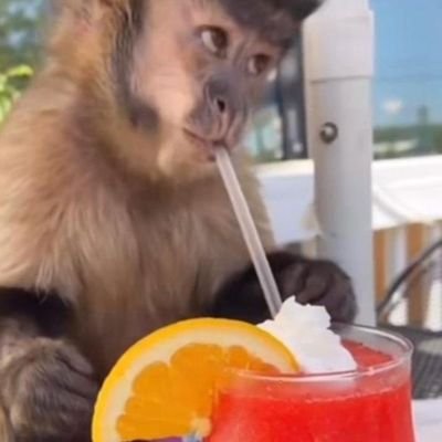 JustBastyle's profile picture. 😶‍🌫️🔧🔨 🫣