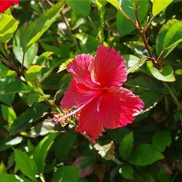 mayu76056421779's profile picture. 副業で収入を増やすコツを紹介中。副業を始めてみたい人に役立つ情報を発信。僅かですが10万円プレゼント企画もしております★ 期間限定→ https://t.co/OUiKmSy9I6