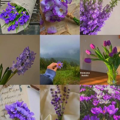 BhowmikSuk51438's profile picture. 