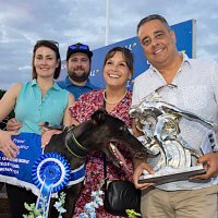 Greens Greyhounds (@greensgreys24) 's Twitter Profile