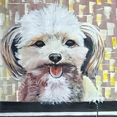 KhedGotze's profile picture. 
