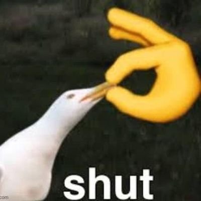 DookieTiger's profile picture. 