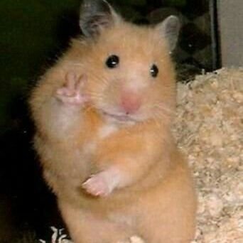 skay_aiks's profile picture. bluk bluk bluk bluk