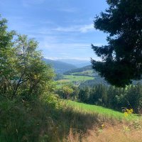 Louise Maving (@louisemaving1) 's Twitter Profile