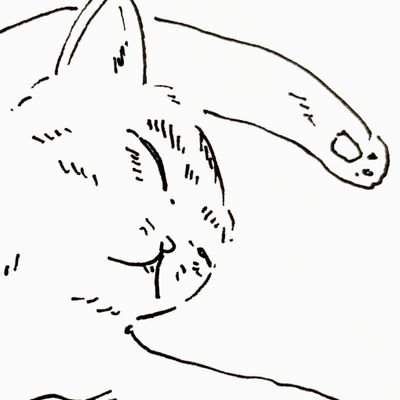 lyskygge_0's profile picture. 