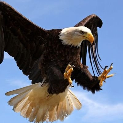 beikta720599's profile picture. 