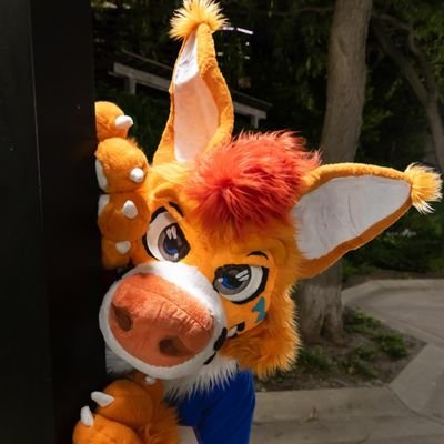 she/her
trans(itioning)
Early Gen Z
18+ account
level 22
MN Fur
other Alt account
@BenjiFox_
BIsexual(Fem lean)