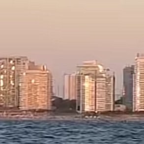 filedvkluh's profile picture. 