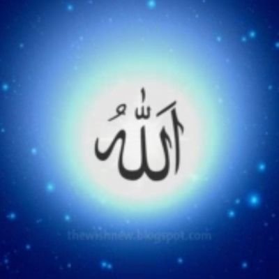 alpona_kab80168's profile picture. Digital Creator