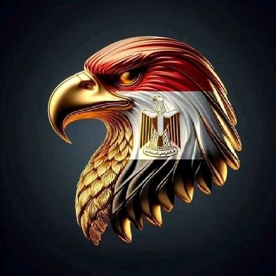 amyralm37621935's profile picture. 