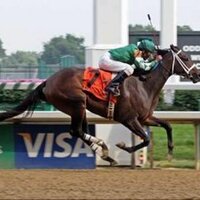 Kelly Von Hemel (@kvonhemel) Twitter profile photo