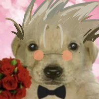 Pspsps 🔞 (@not_yyprsp) 's Twitter Profile Photo Pspsps 🔞 (@not_yyprsp) 's Twitter Profile Photo
