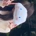 きい (@kiiiiiiiiiich42) Twitter profile photo きい (@kiiiiiiiiiich42) Twitter profile photo