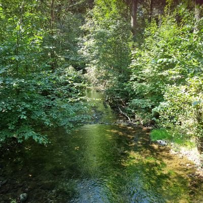 MartinM63070222's profile picture. 