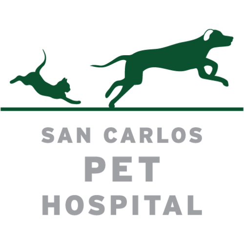 SC Pet Hospital