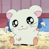 γ²γγπ (@uv4jjldpcw49495) 's Twitter Profile