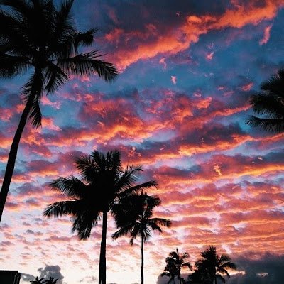 thebichngoclan's profile picture. Moon