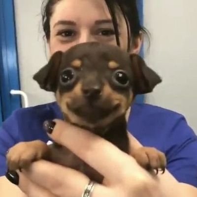 sughui612175132's profile picture. 