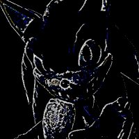 20n17 (@h12_w0r7d) 's Twitter Profile