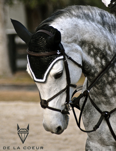 De_La_Coeur's profile picture. Custom and Ready Made Fly Bonnets, Scrims, Hats, Hoods and more! Ask about our soundproof ears. We ship worldwide.
info@delacoeur.ca