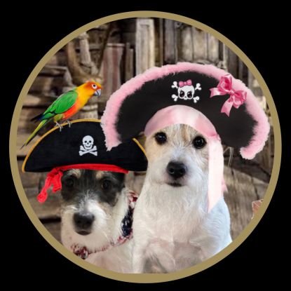 Gracie (7yo JRT). #pawventures, #theruffriderz,#ZSHQ, Rowdy(2yo) Private #ZSHQ, Breez(conure bird) & bunchez keekatz! Pet page only, no politics or bad people!