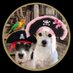 Gracie & Rowdy (@friends_gracie) Twitter profile photo Gracie & Rowdy (@friends_gracie) Twitter profile photo