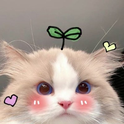 Sarahwoolf22576's profile picture. 