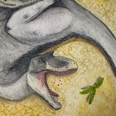 yumavividred's profile picture. 趣味で古生物を描いてます。🦖