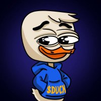 $DUCK - CTO on $SOL (@duckonsolcto) 's Twitter Profile
