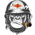 Silverback™ (@silverback375) Twitter profile photo Silverback™ (@silverback375) Twitter profile photo