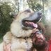 Pedro L.A. (@von_aurre) Twitter profile photo Pedro L.A. (@von_aurre) Twitter profile photo