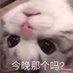 kiskavr (@kiskavr) Twitter profile photo kiskavr (@kiskavr) Twitter profile photo