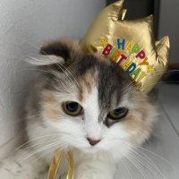 交換垢 (@piyapiya9898) 's Twitter Profile