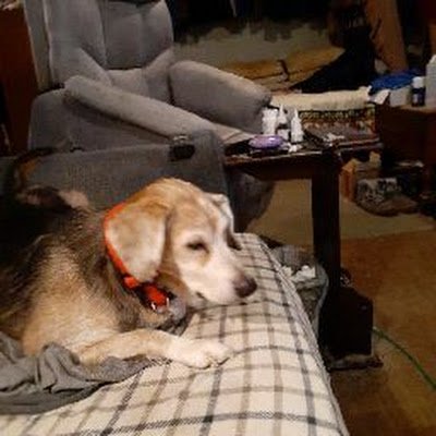 TimothyGra63327's profile picture. 